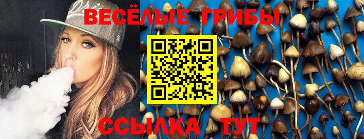 Псилоцибиновые грибы GOLDEN TEACHER Горно-Алтайск