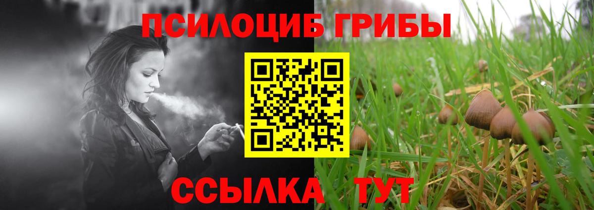 Псилоцибиновые грибы MAGIC MUSHROOMS  Вход с VPN  Псилоцибиновые грибы Cubensis  Горно-Алтайск 